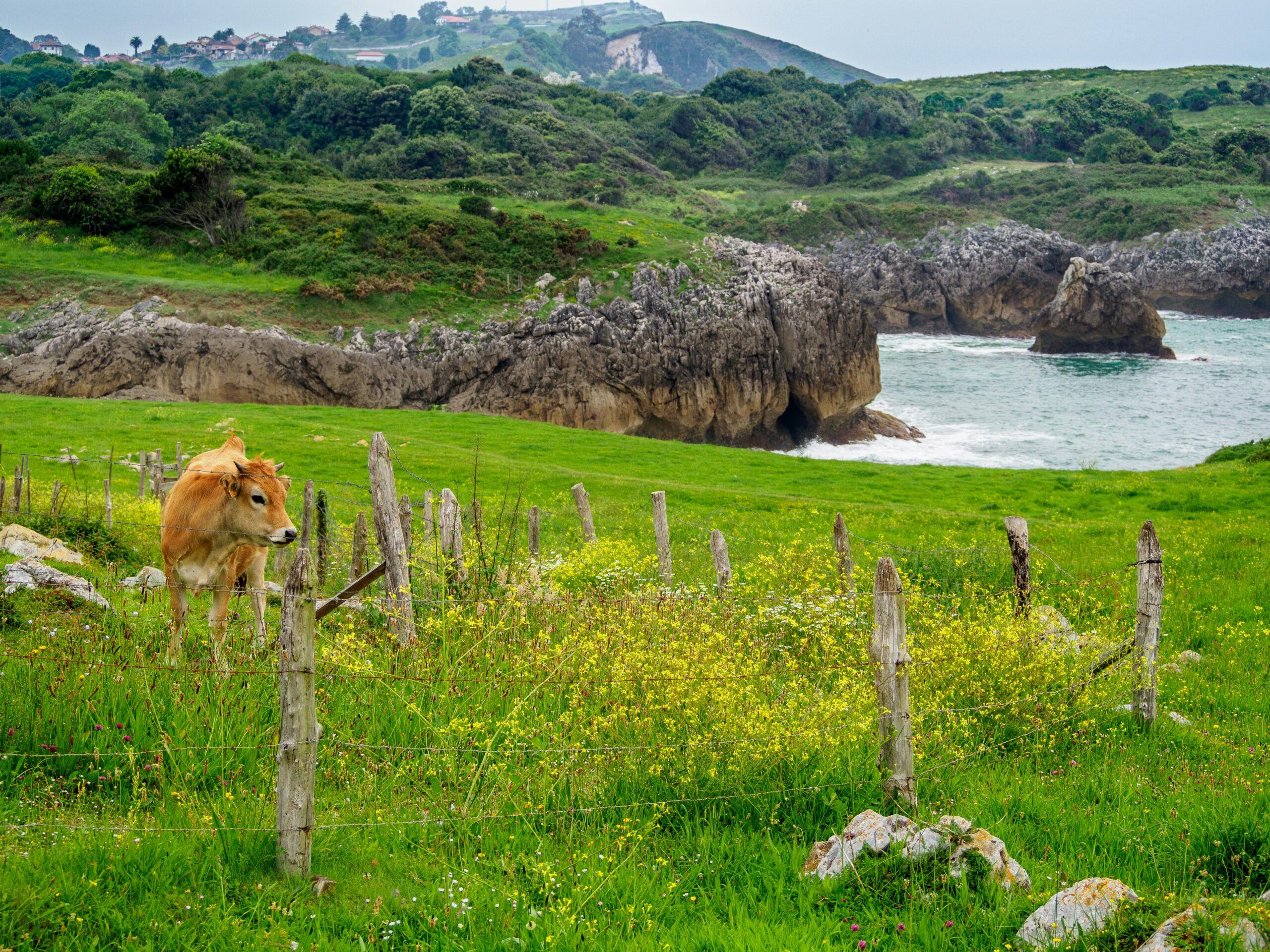 Rutas de montaña en Asturias para desconectar